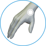 LifeWave® Y-Age Carnosine Patches - Spirit of Health Store